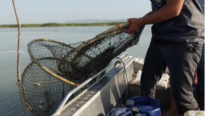 Qanunsuz balıq ovlayanlar cəzalandırıldı  - FOTO