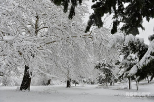 Qar ən çox Lənkəran-Astara zonasında yağıb - FAKTİKİ HAVA