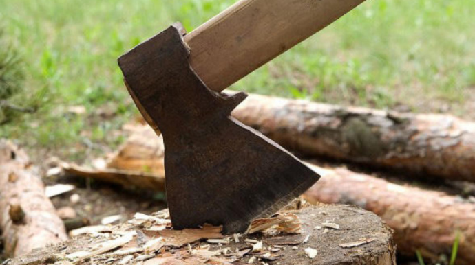 Xətaidə ağaclar kəsilib, materiallar Baş Prokurorluğa göndəriləcək 