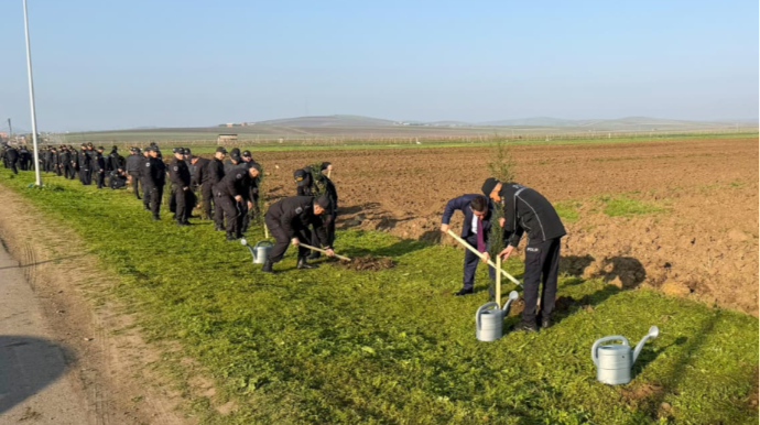 Polis əməkdaşları Cəlilabadda ağacəkmə kampaniyası keçiriblər