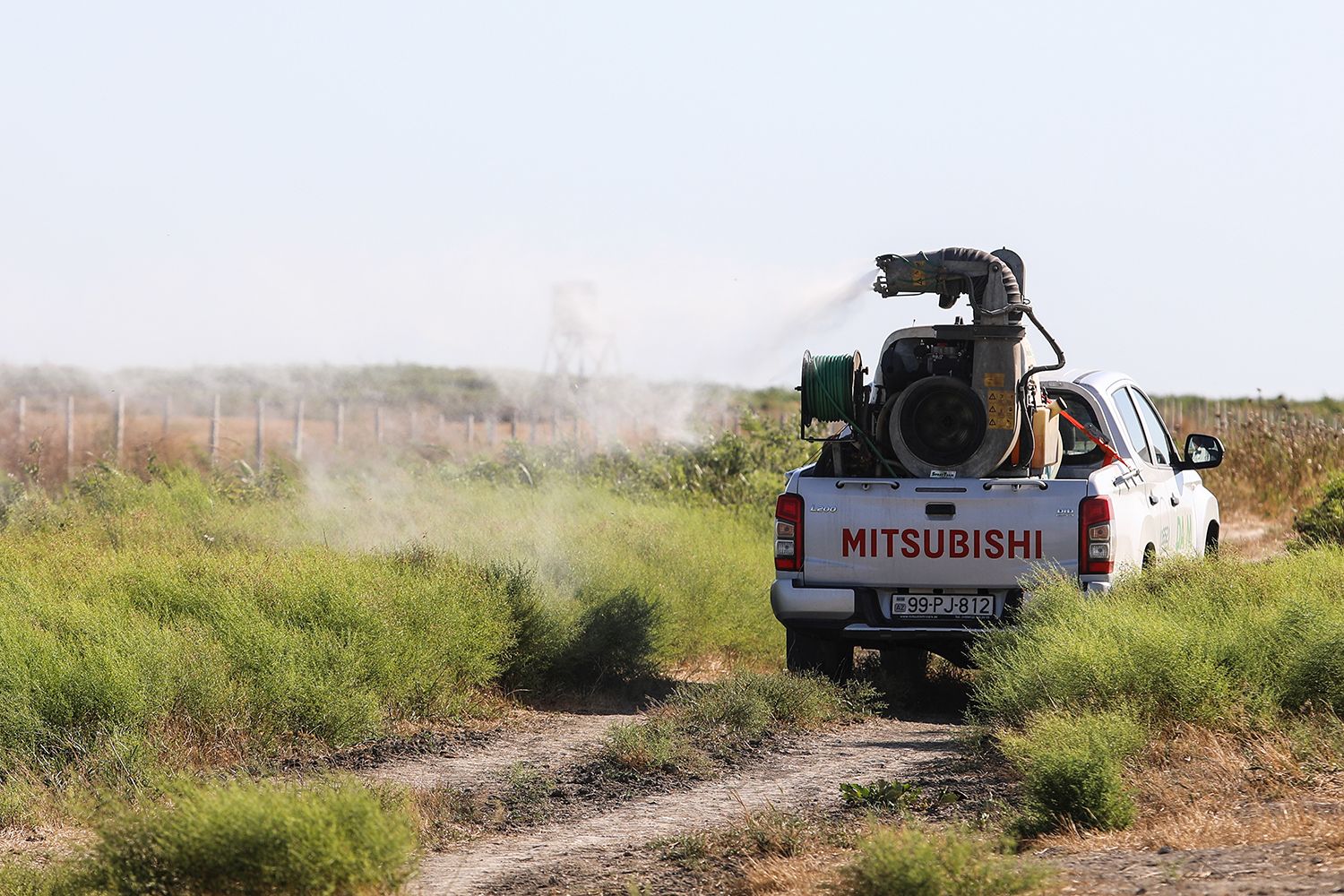 Azərbaycanda çəyirtkələrin miqrasiyasının qarşısı belə alınır - FOTO