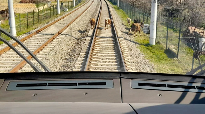 Bakı-Sumqayıt istiqamətində təhlükəsizlik zolaqları yenilənəcək? - RƏSMİ CAVAB 