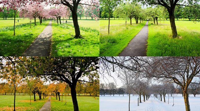 Fəsillərin Azərbaycana daxilolma vaxtları açıqlandı 