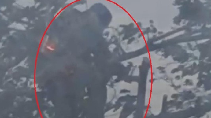 Maşın bazarında ağac kəsən avtosalon sahibi cəzalandırılacaq - Rəsmi açıqlama - VİDEO