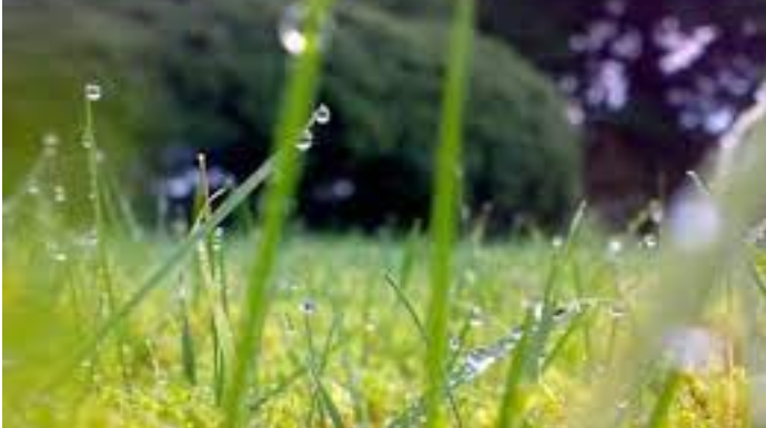 Sabaha gözlənilən hava proqnozu açıqlanıb