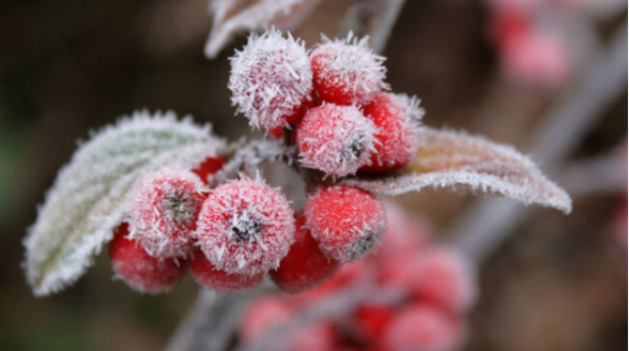 Bakıya yenə qar yağacaq - 1-3° şaxta