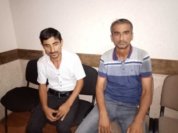 Mal-qara oğruları yaxalandı - FOTO