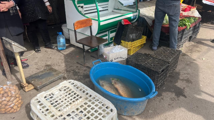 Tovuzda bazarda yoxlama keçirildi - Nöqsanlar aşkarlandı - FOTO
