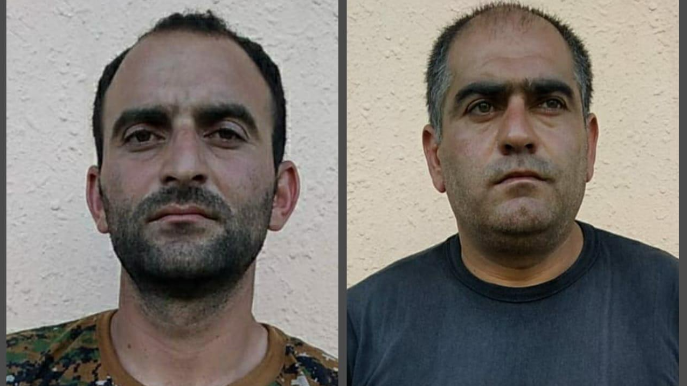 İsmayıllıda meşədə narkotik plantasiyası salan şəxslər saxlanılıb  - FOTO