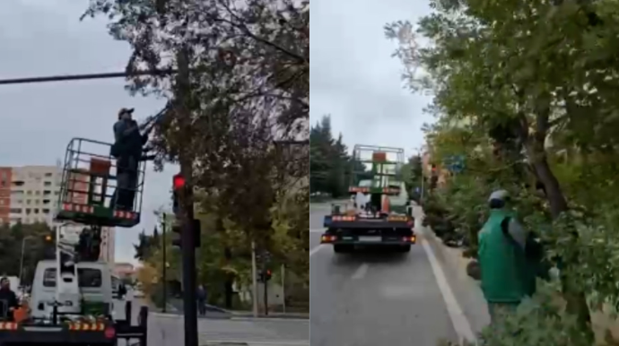 Nizamidə yol polisi problemli nöqtələri üzə çıxardı; ağacları budayıb normal şərait yaratdılar - VİDEO 