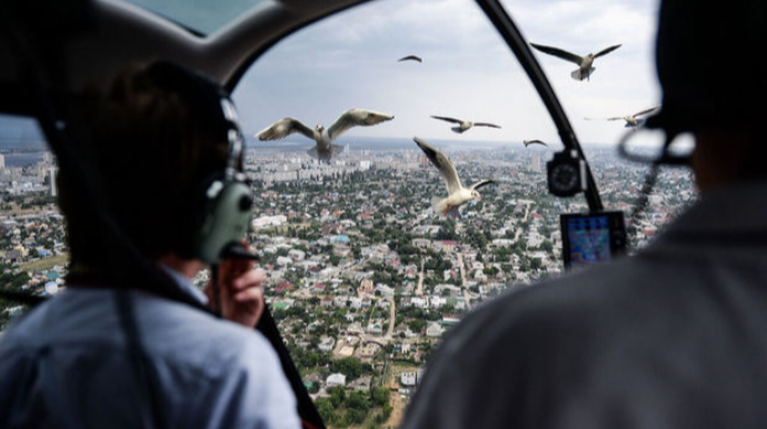 Пассажирский самолет столкнулся со стаей птиц в Казахстане  - ВИДЕО