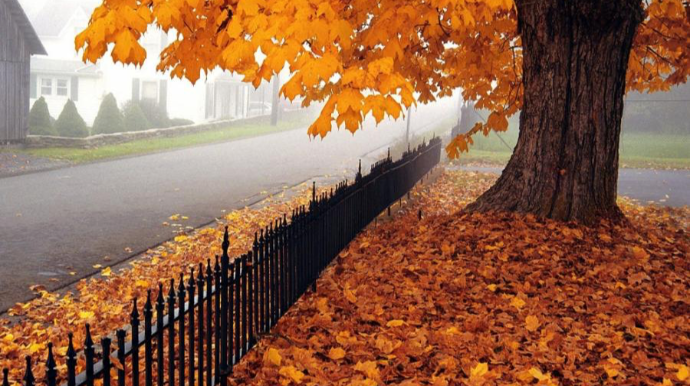 Прогноз погоды в Азербайджане на 12.10.2025