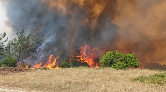 Ağdərədəki yanğın söndürüldü - VİDEO