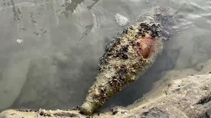 Sumqayıtda hərbi sursat aşkarlanıb  - VİDEO