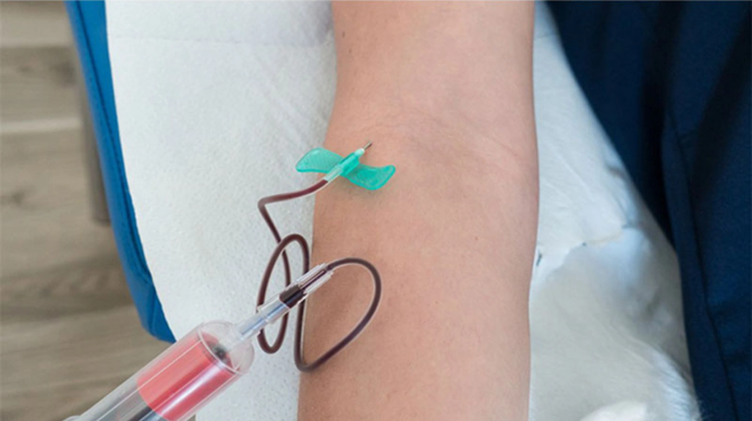 Çindən gətirilən qanalma kəpənəklərinin satışı qadağan edildi 