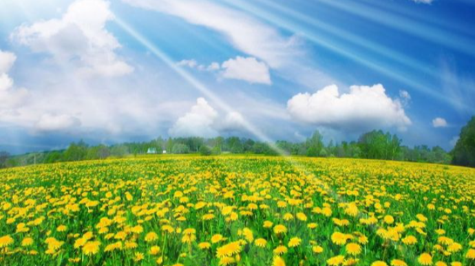 Sabahın hava proqnozu AÇIQLANDI 