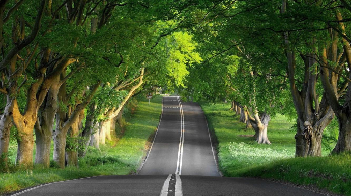 Lənkəranın kənd yolları əsaslı təmir olunur - VİDEO 