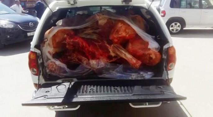 Avtomobildən 500 kq yararsız heyvan əti aşkarlandı - FOTO