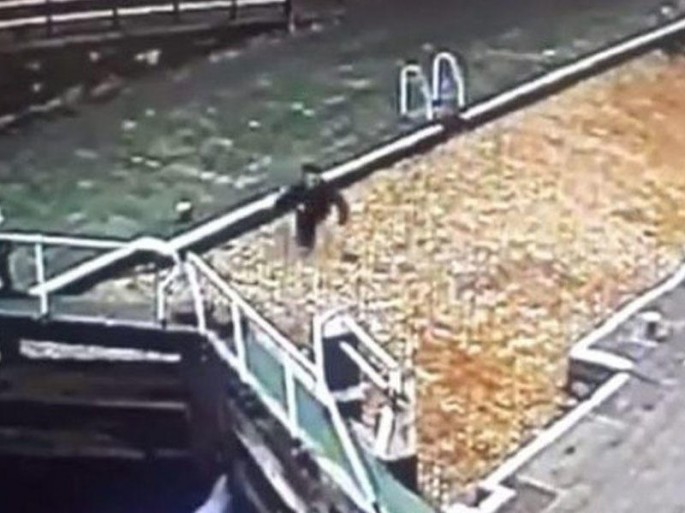 Telefonla oynayan oğlan buz kimi hovuza düşdü – VİDEO