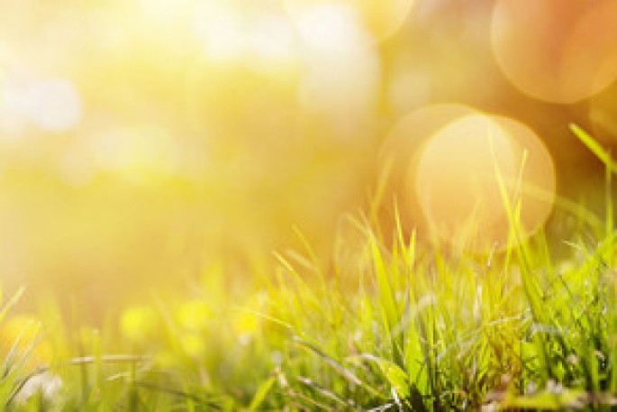 Sabaha olan hava proqnozu açıqlanıb