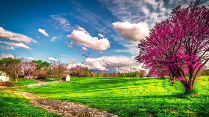 Sabah 23 dərəcə isti olacaq