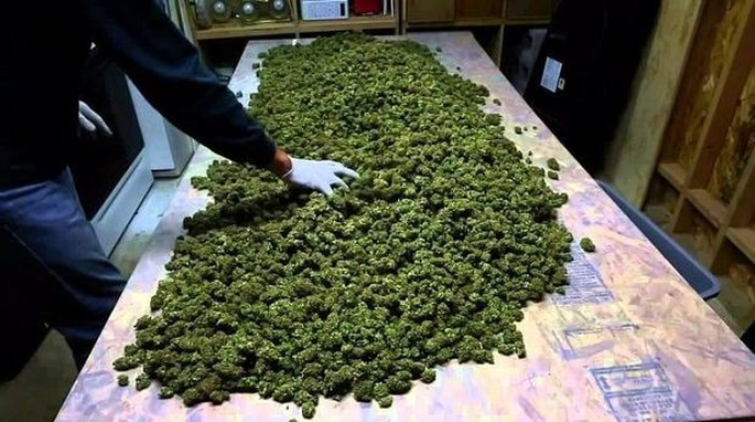 Polis 17,5 kq narkotik vasitə aşkarladı