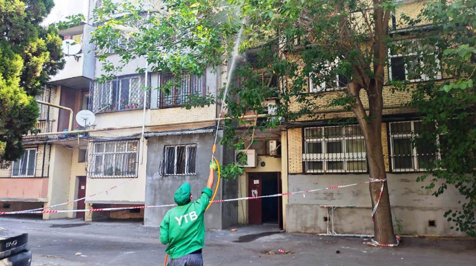 Bakıda ağaclarda dərmanlama işləri aparılır - FOTOLAR 