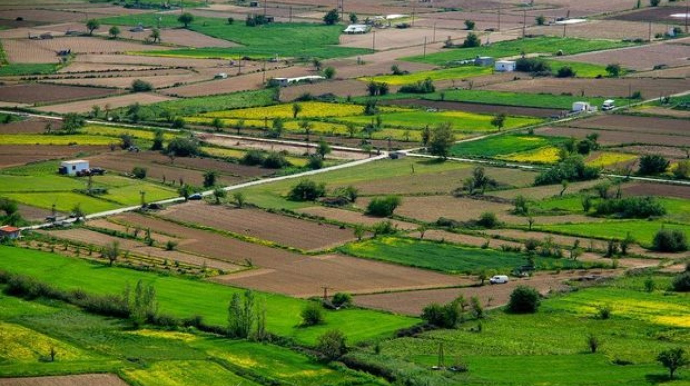 Bu halda torpaq sahəsi ilə bağlı araşdırma aparılacaq