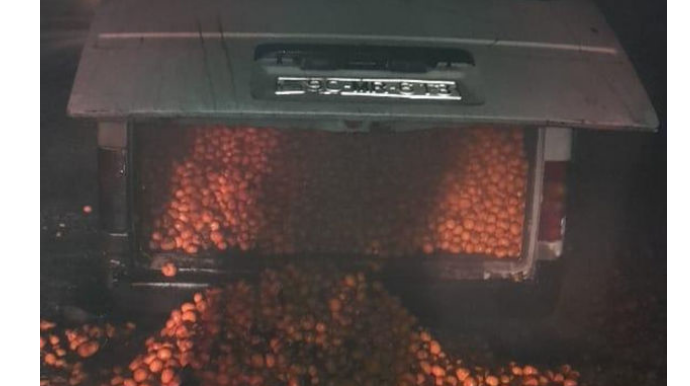 В Кюрдамирском районе загорелся автомобиль с 1,5 тонны мандаринов  - ФОТО