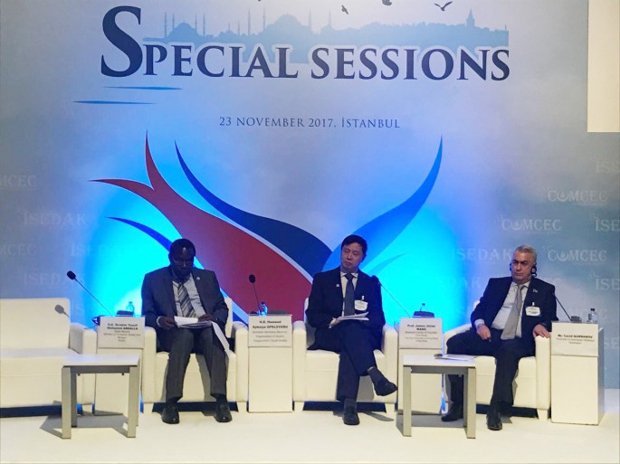 Xüsusi transmilli nəqliyyat dəhlizləri inkişaf etdiriləcək – FOTO