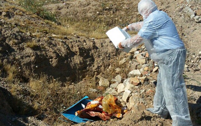 "07"də aşkar olunan 65 kilo murdar ət yandırıldı - FOTO