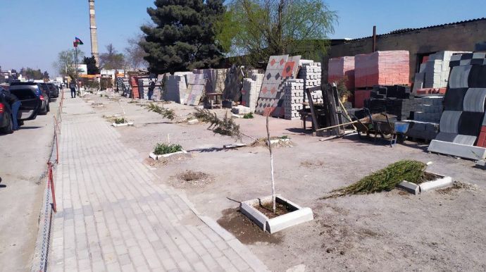 Nazirlikdən Bakıda 60 ağacın kəsilməsinə reaksiya  - FOTO