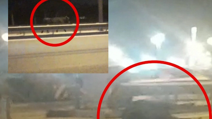 Aeroport yolunda TƏHLÜKƏ  - Qəfl yola çıxan öküzü maşın vurdu - VİDEO