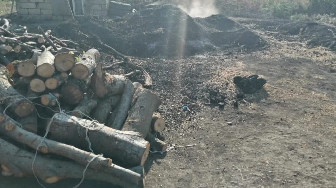 Cəlilabadda qanunsuz kömür istehsalı faktı aşkarlandı  - FOTO