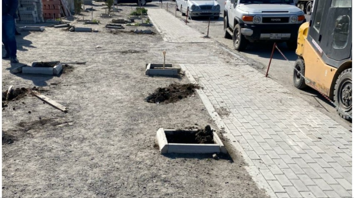 Bakıda mühafizəçiləri otağa salıb 60-dan çox ağacı məhv etdilər   - VİDEO - FOTO