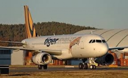 Təyyarə təcili eniş edib - təyyarənin göyərtəsində 172 sərnişin olub