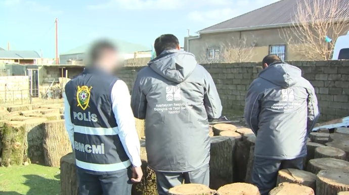 “Bandotdel”dən əməliyyat, ağac kəsən 8 nəfər saxlanıldı - VİDEO 