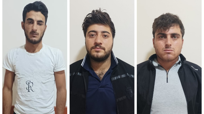 Şamaxıda 112 baş heyvanı oğurlayan şəxslər saxlanılıb - FOTO 