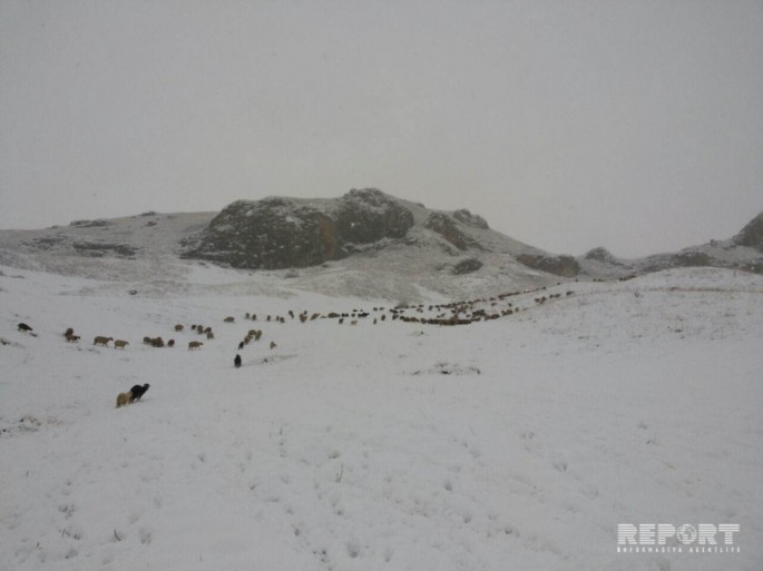Azərbaycana ilk qar yağıb - FOTO