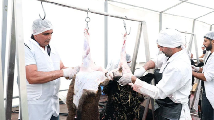 Heyvan kəsimi ilə bağlı xoşagəlməz hal olarsa - Bu nömrəyə zəng edin 