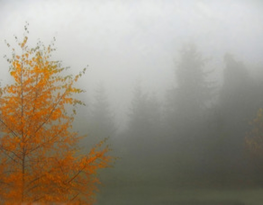 Bazar gününə olan hava proqnozu AÇIQLANDI