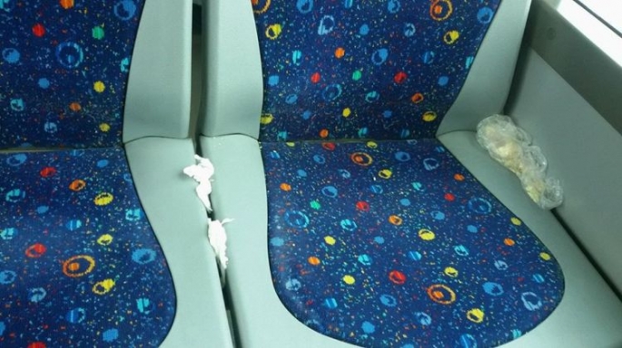 Avtobusları çirkləndirən sərnişinlərə qarşı tədbirlərə başlanıb - FOTO