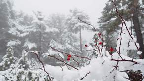 “Qeyri-sabit hava şəraiti yanvarın 11-dək davam edəcək”