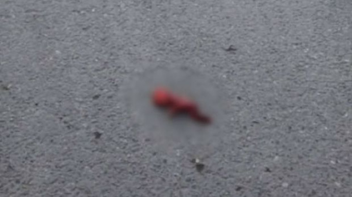 Sumqayıtda ölü döl tapıldı