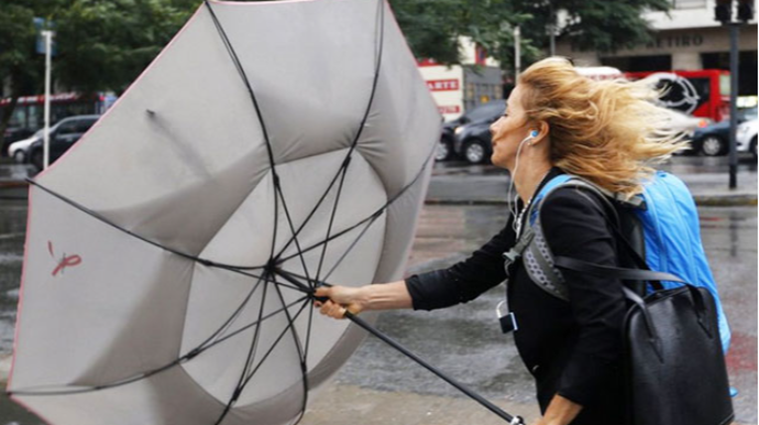 Elektrik dirəklərinin, hündür ağacların altında dayanmayın - XƏBƏRDARLIQ 