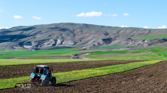 Nazirlər Kabineti aqrar sığorta qaydalarını açıqlayıb