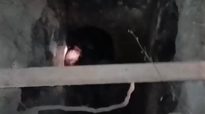 65 yaşlı kişi quyuya düşdü - FOTO