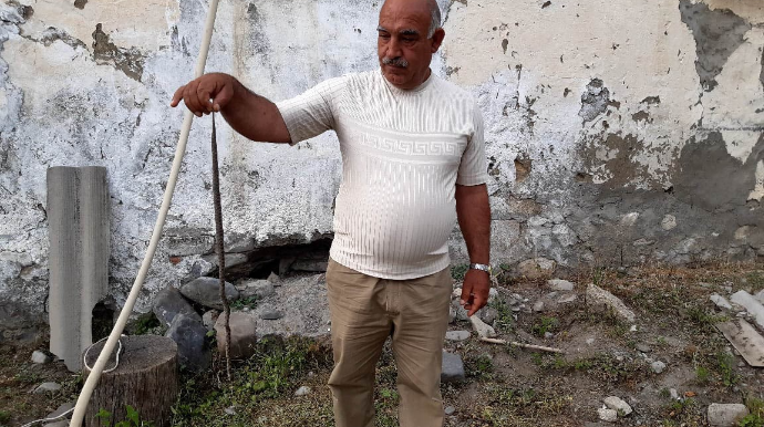 Qaxda məcburi köçkünlərin evlərini zəhərli ilanlar basıb - FOTO 