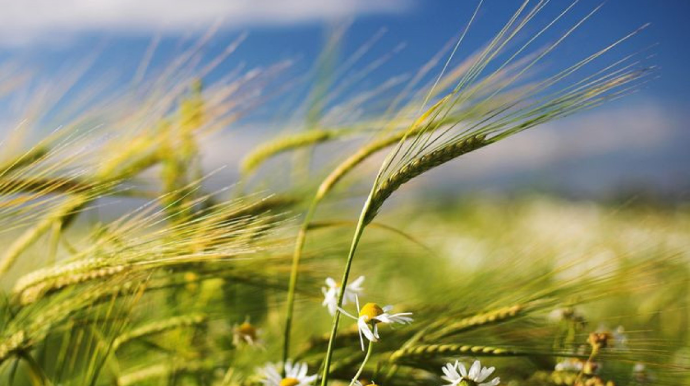 Bu gün Yel çərşənbəsidir 