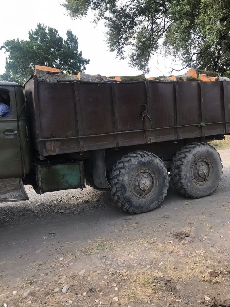 “URAL”dan 8 m3 həcmində yaş fıstıq cinsli meşə materialı aşkarlandı - FOTO